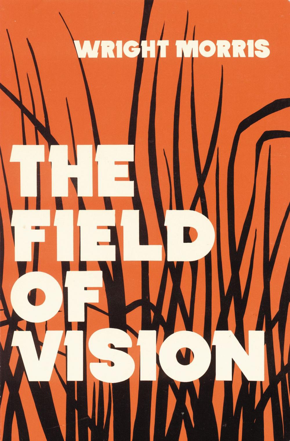 Big bigCover of The Field of Vision