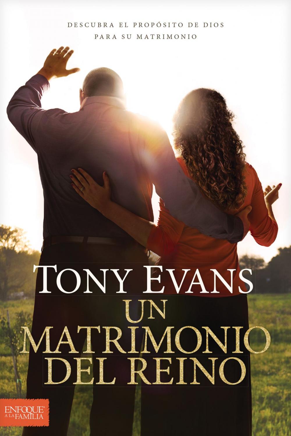 Big bigCover of Un matrimonio del reino