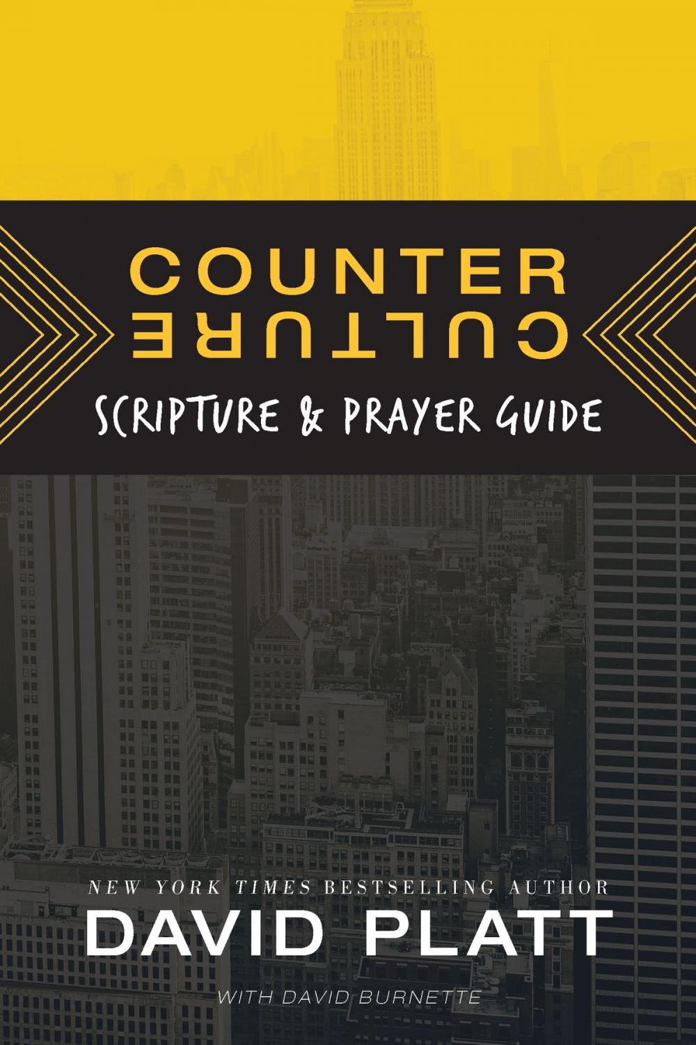 Big bigCover of Counter Culture Scripture and Prayer Guide