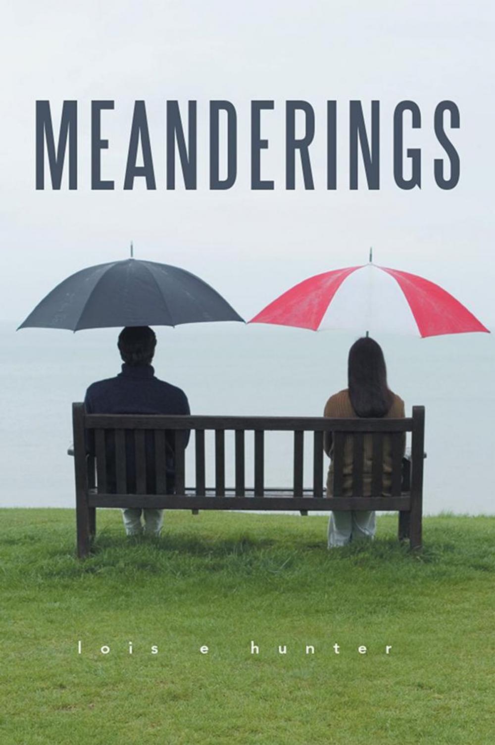 Big bigCover of Meanderings