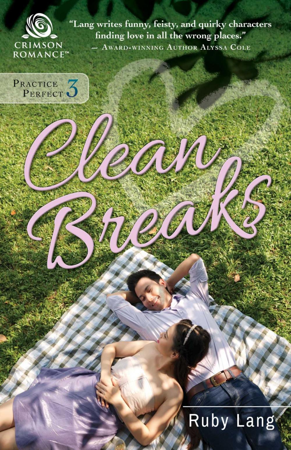 Big bigCover of Clean Breaks