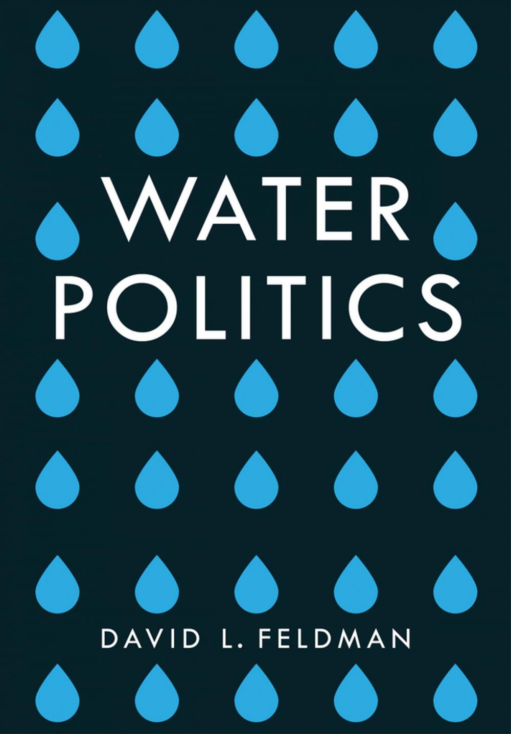 Big bigCover of Water Politics