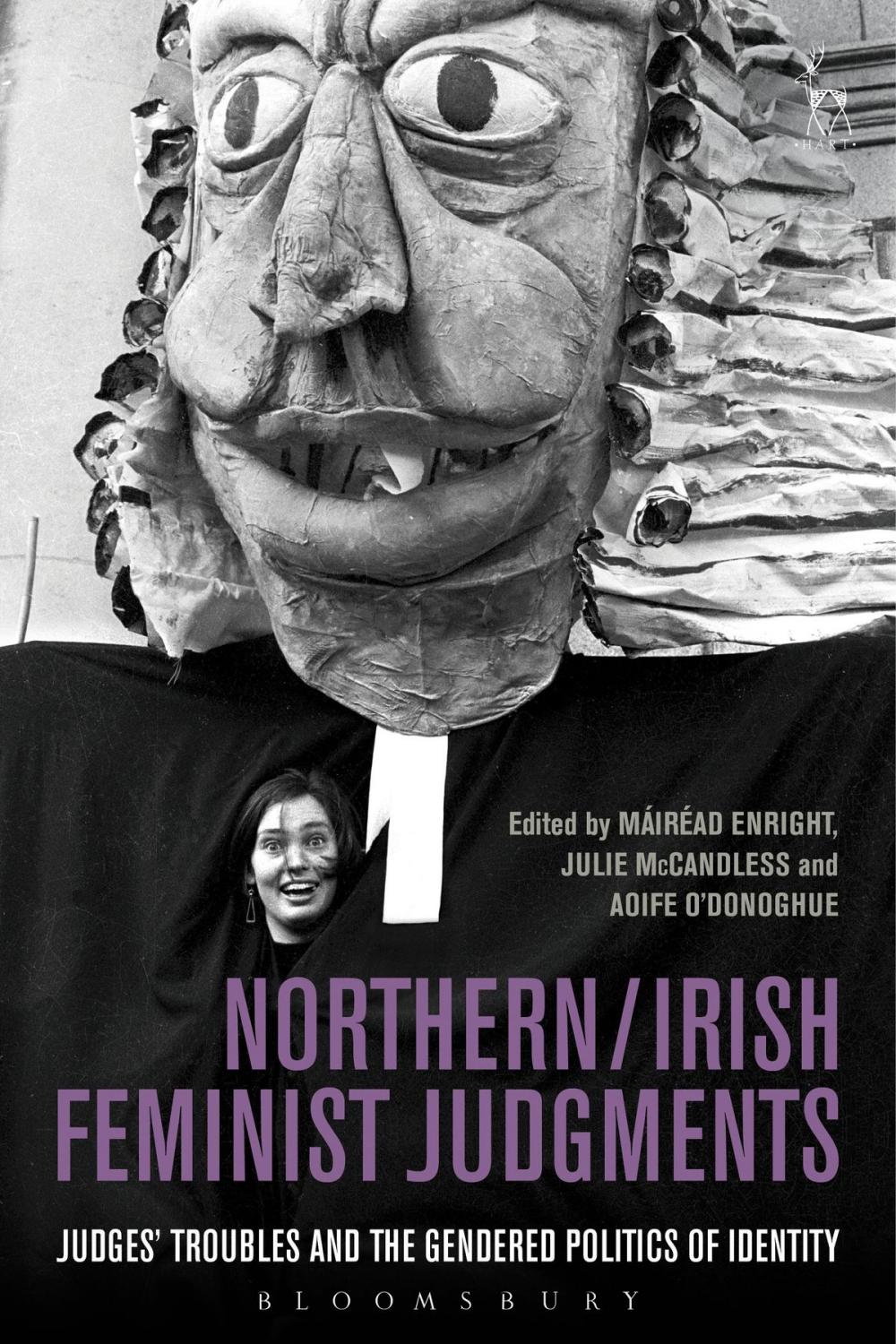 Big bigCover of Northern / Irish Feminist Judgments