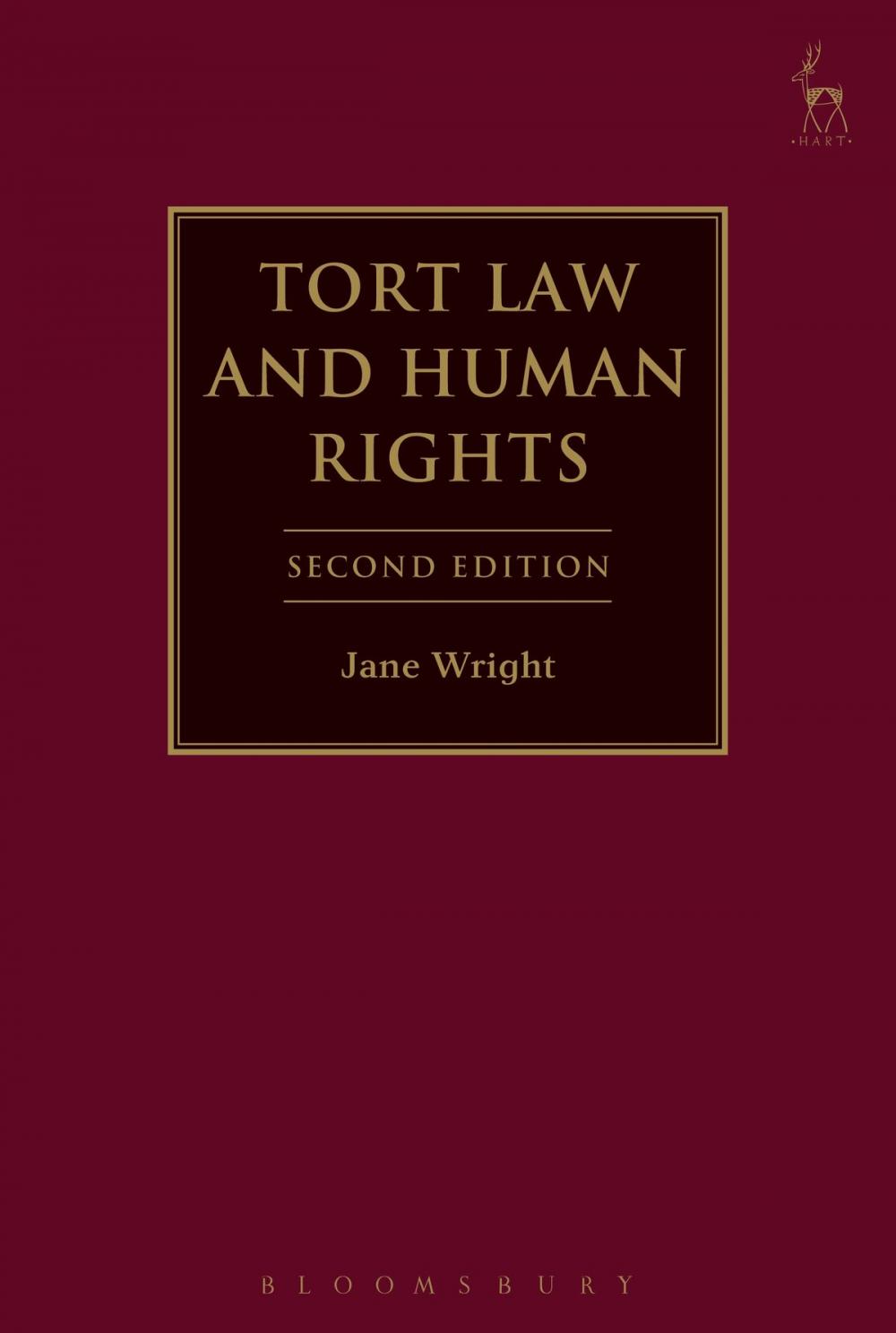 Big bigCover of Tort Law and Human Rights