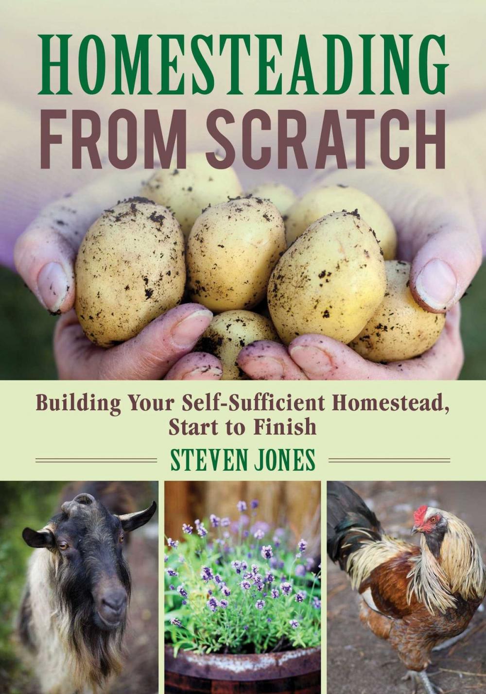 Big bigCover of Homesteading From Scratch