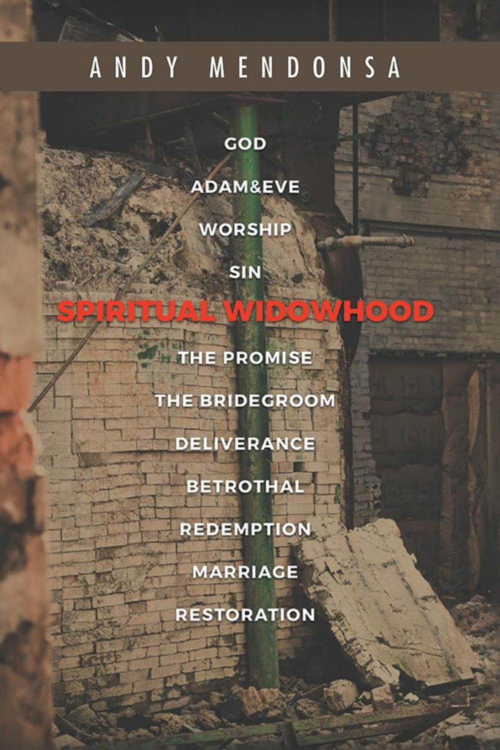 Big bigCover of Spiritual Widowhood