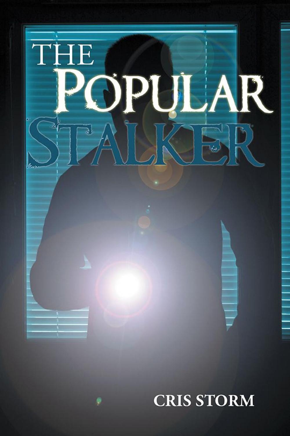 Big bigCover of The Popular Stalker