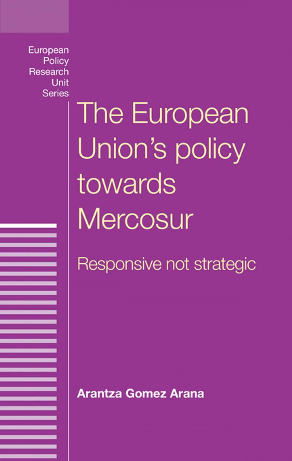 Big bigCover of The European Union's policy towards Mercosur