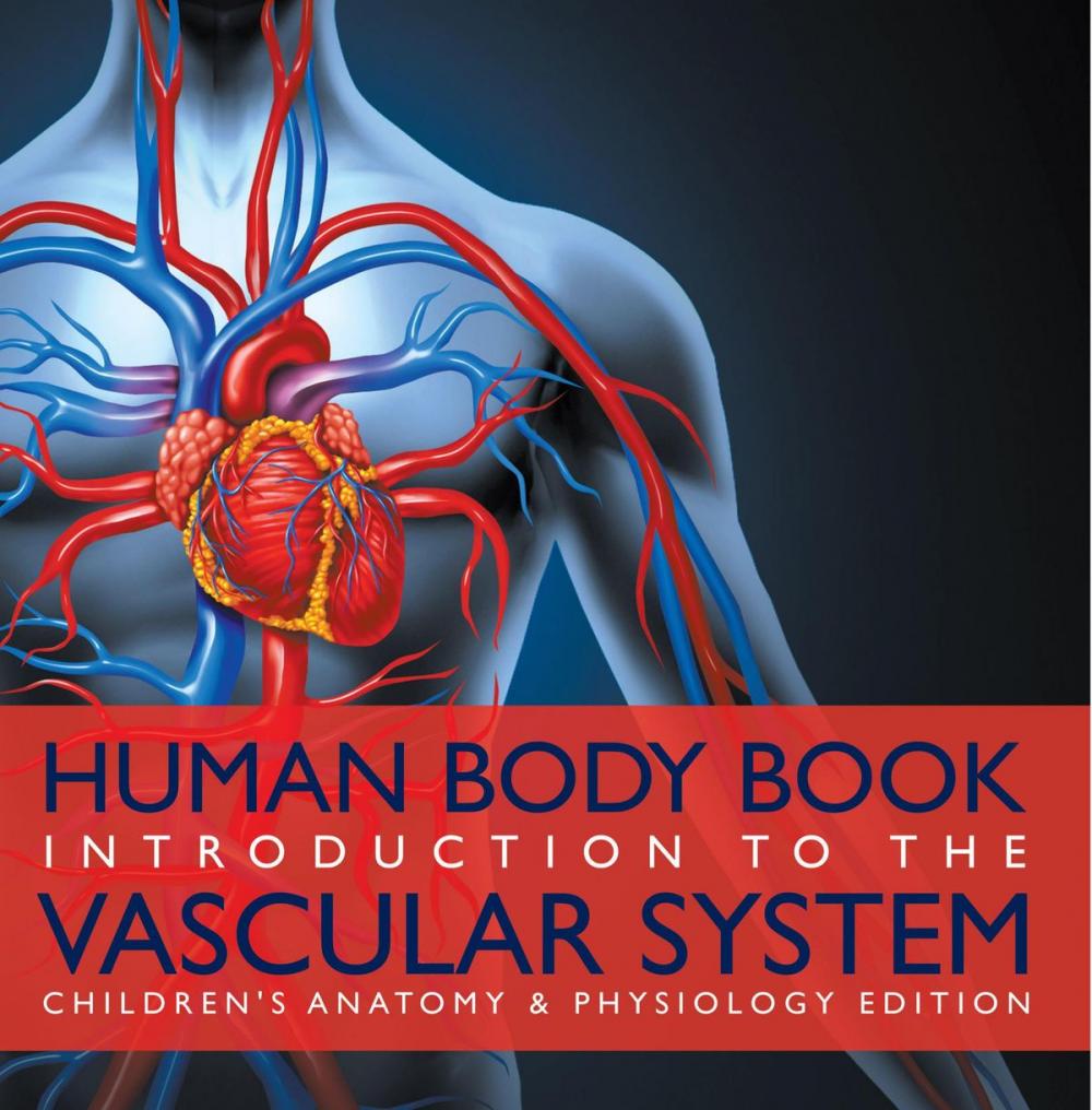 Big bigCover of Human Body Book | Introduction to the Vascular System | Children's Anatomy & Physiology Edition
