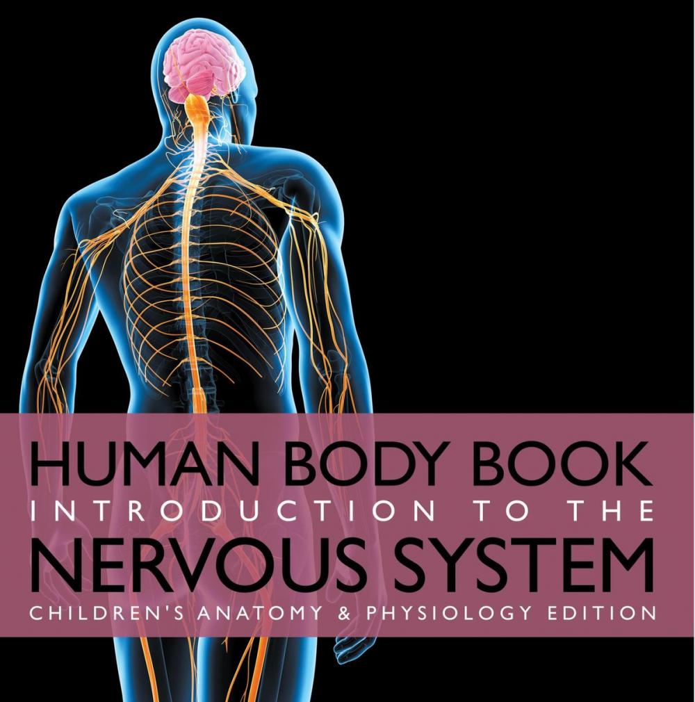 Big bigCover of Human Body Book | Introduction to the Nervous System | Children's Anatomy & Physiology Edition