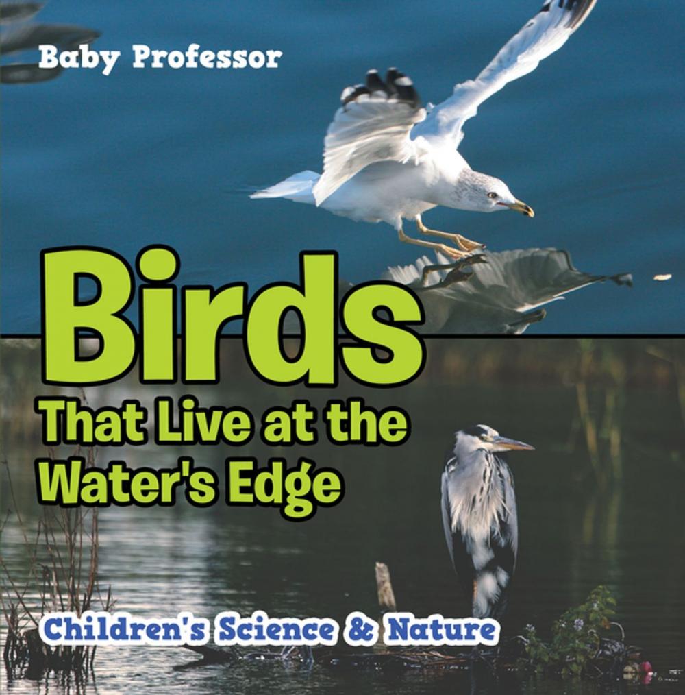 Big bigCover of Birds That Live at the Water's Edge | Children's Science & Nature