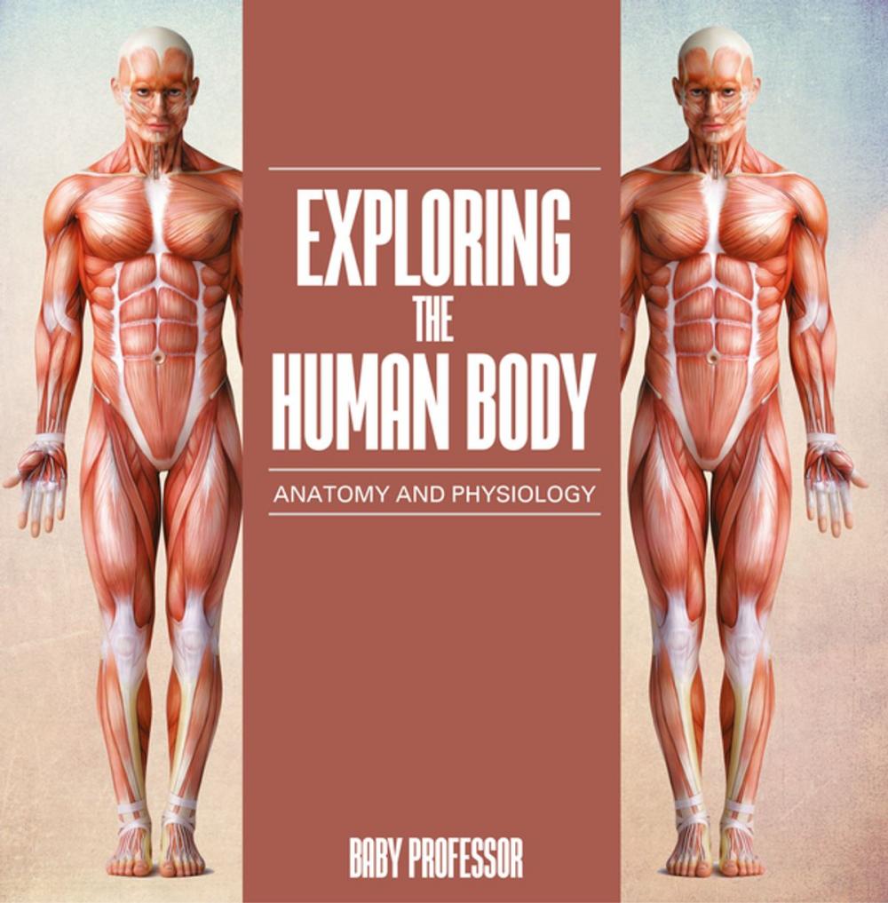 Big bigCover of Exploring the Human Body | Anatomy and Physiology