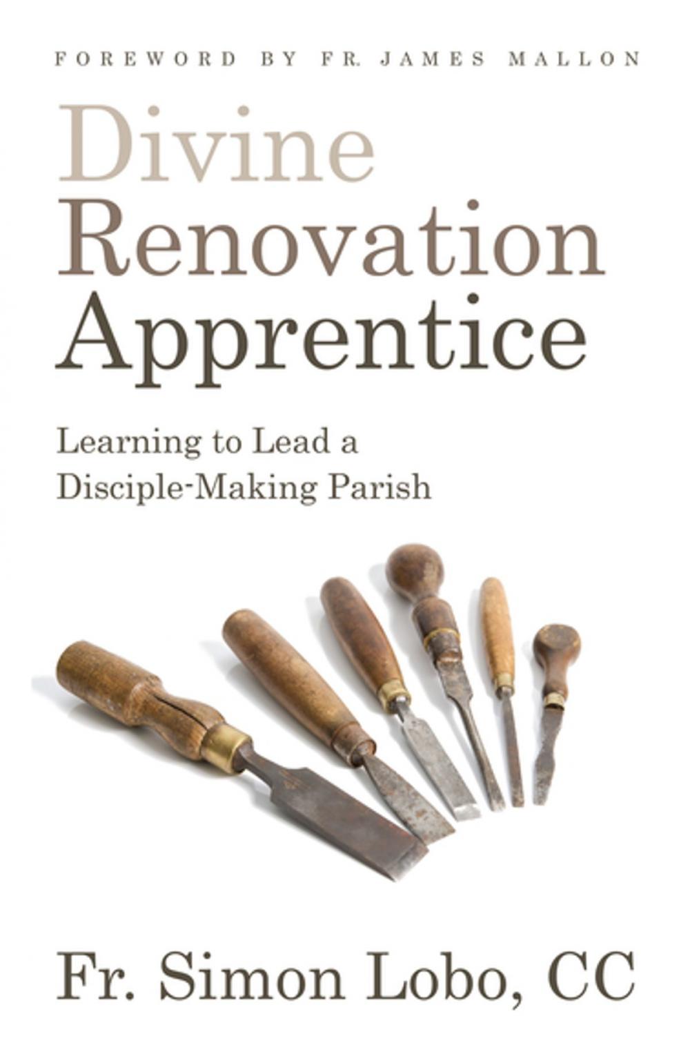 Big bigCover of Divine Renovation Apprentice