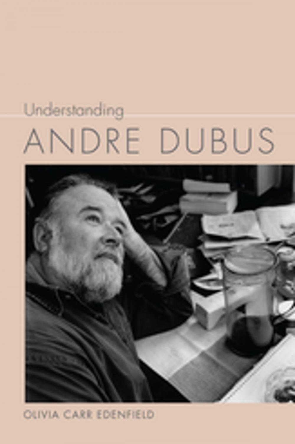 Big bigCover of Understanding Andre Dubus