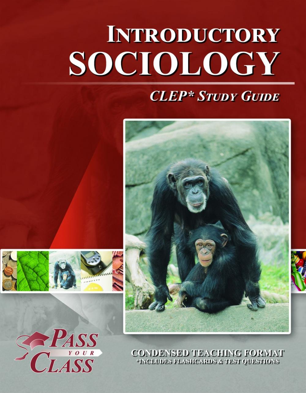 Big bigCover of CLEP Introduction to Sociology Test Study Guide