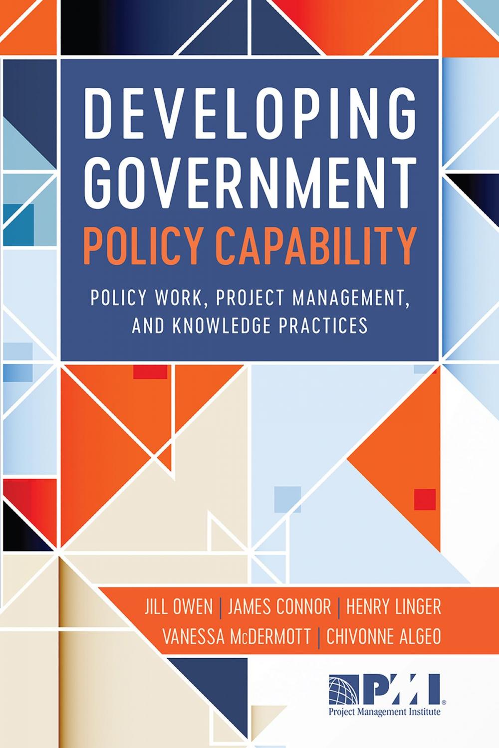 Big bigCover of Developing Government Policy Capability