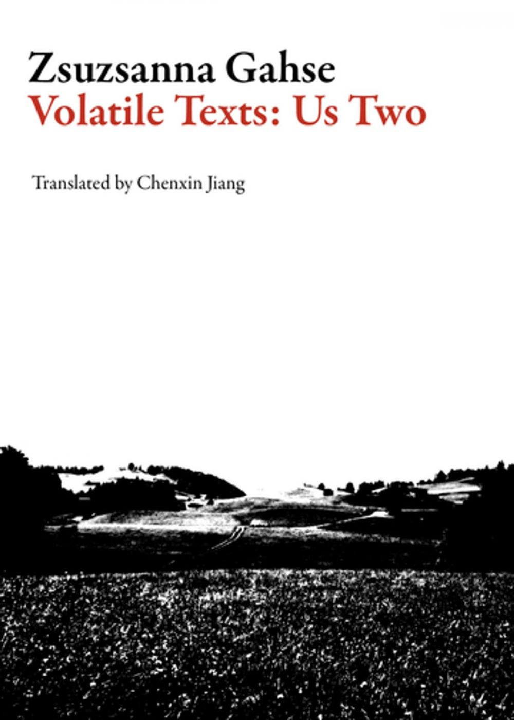 Big bigCover of Volatile Texts: Us Two