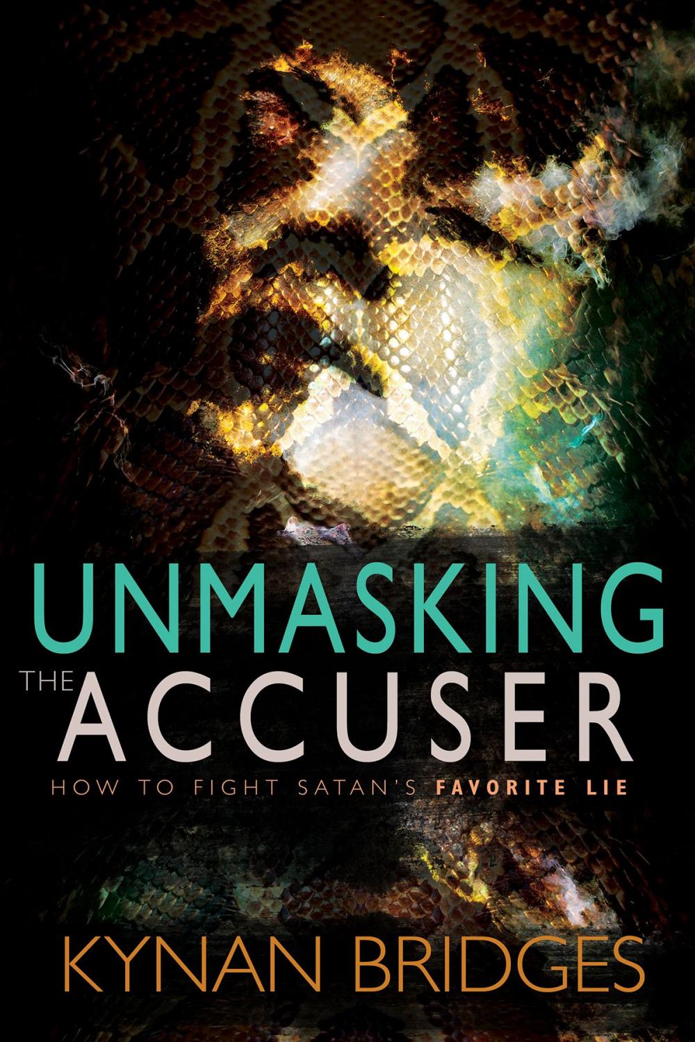 Big bigCover of Unmasking the Accuser