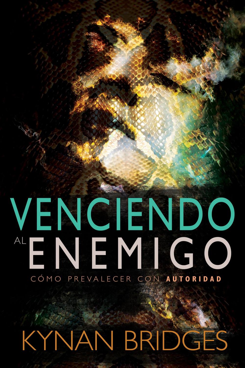 Big bigCover of Venciendo al Enemigo