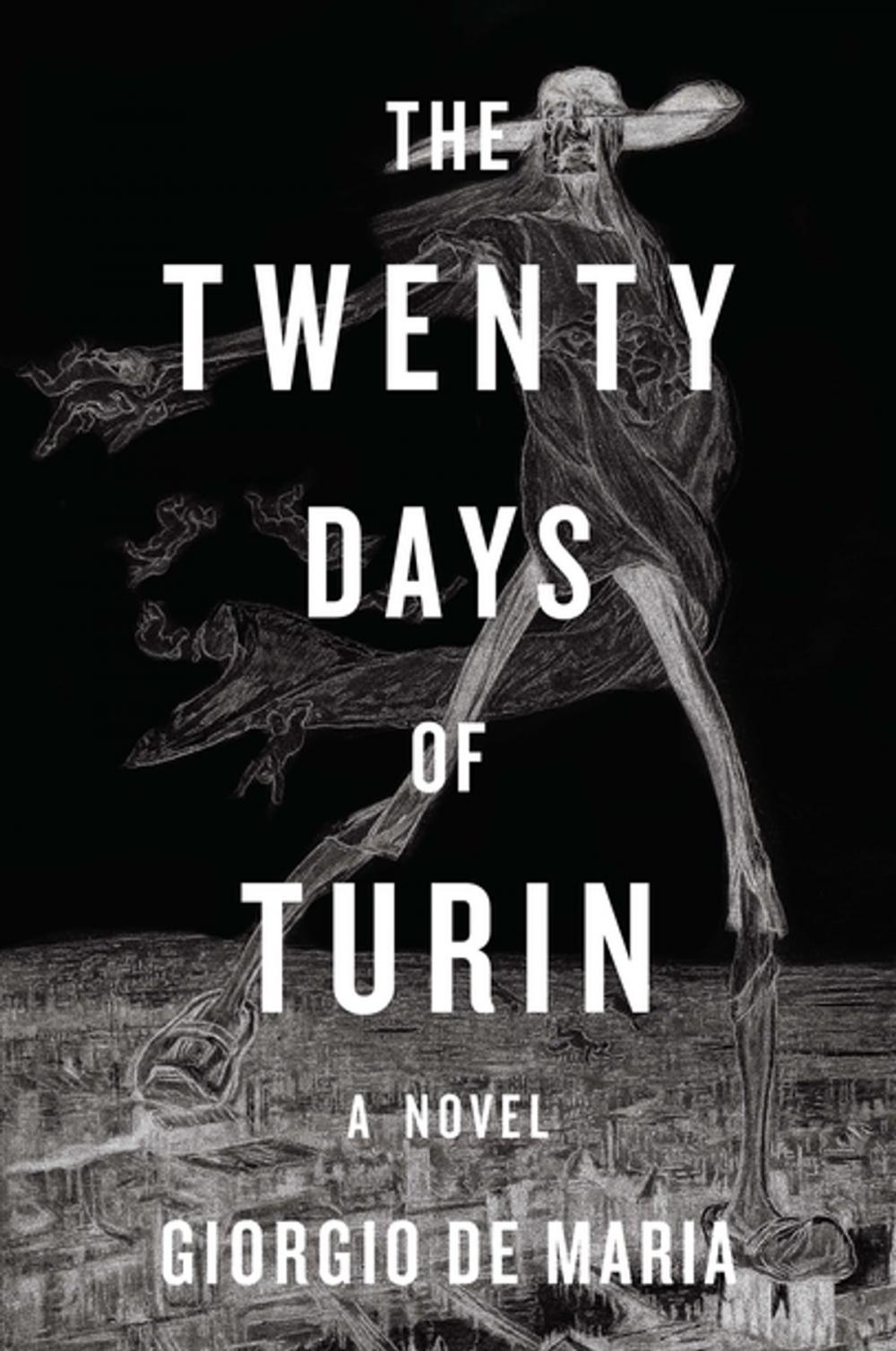 Big bigCover of The Twenty Days of Turin: A Novel