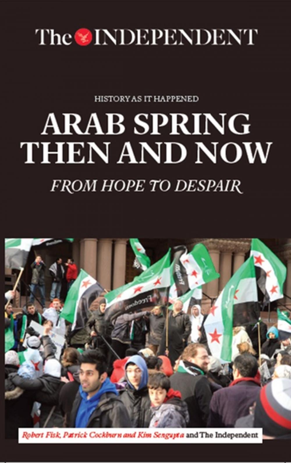 Big bigCover of Arab Spring Then and Now