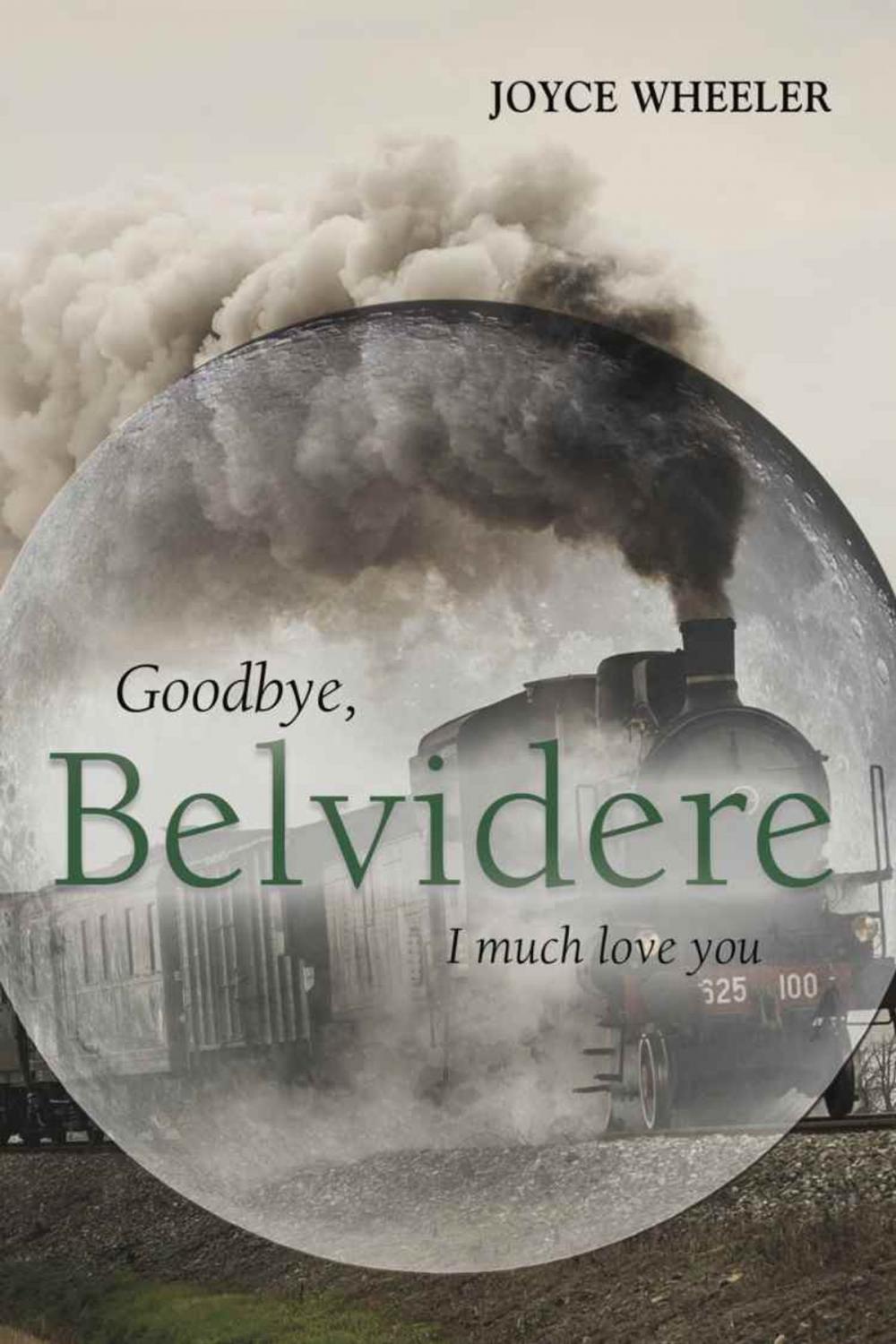 Big bigCover of Goodbye, Belvidere - I Much Love You