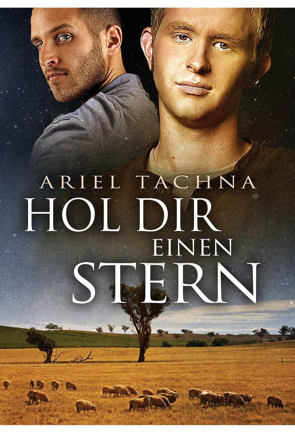 Big bigCover of Hol Dir einen Stern