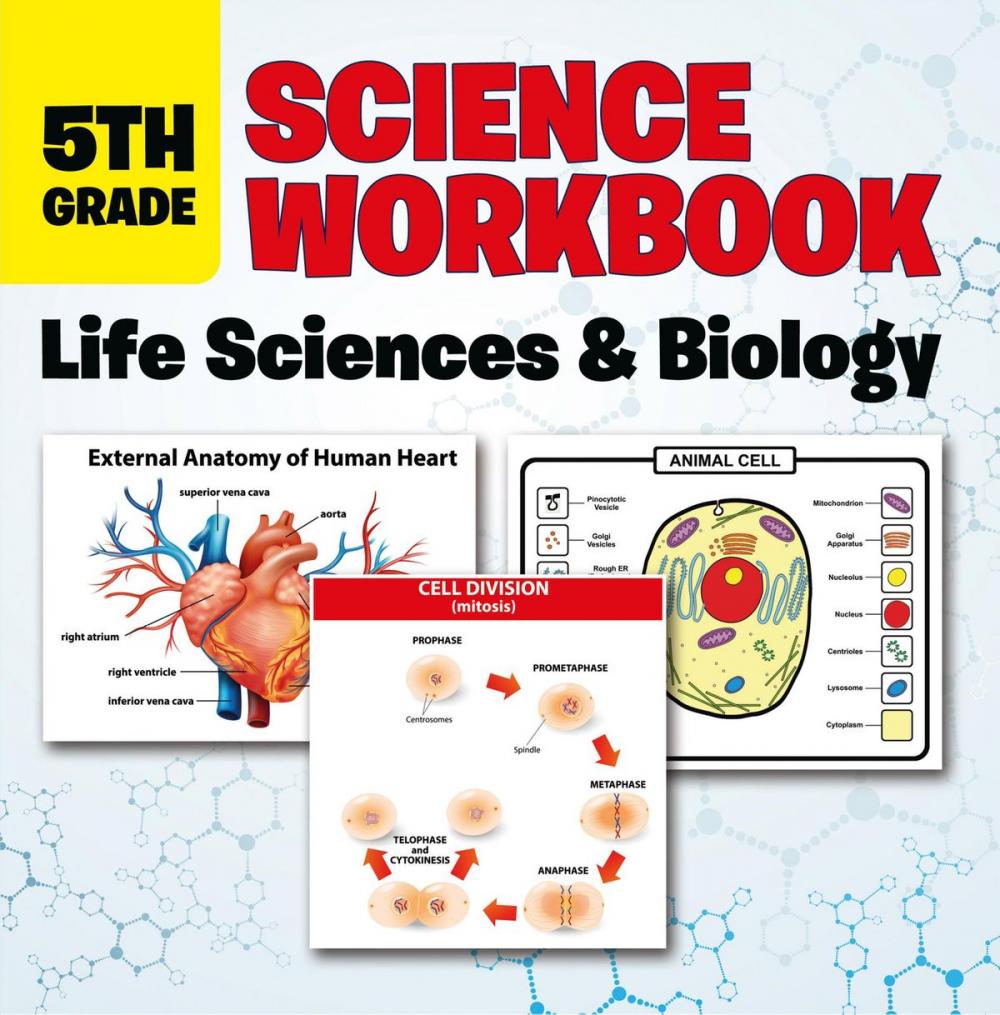 Big bigCover of 5th Grade Science Workbook: Life Sciences & Biology