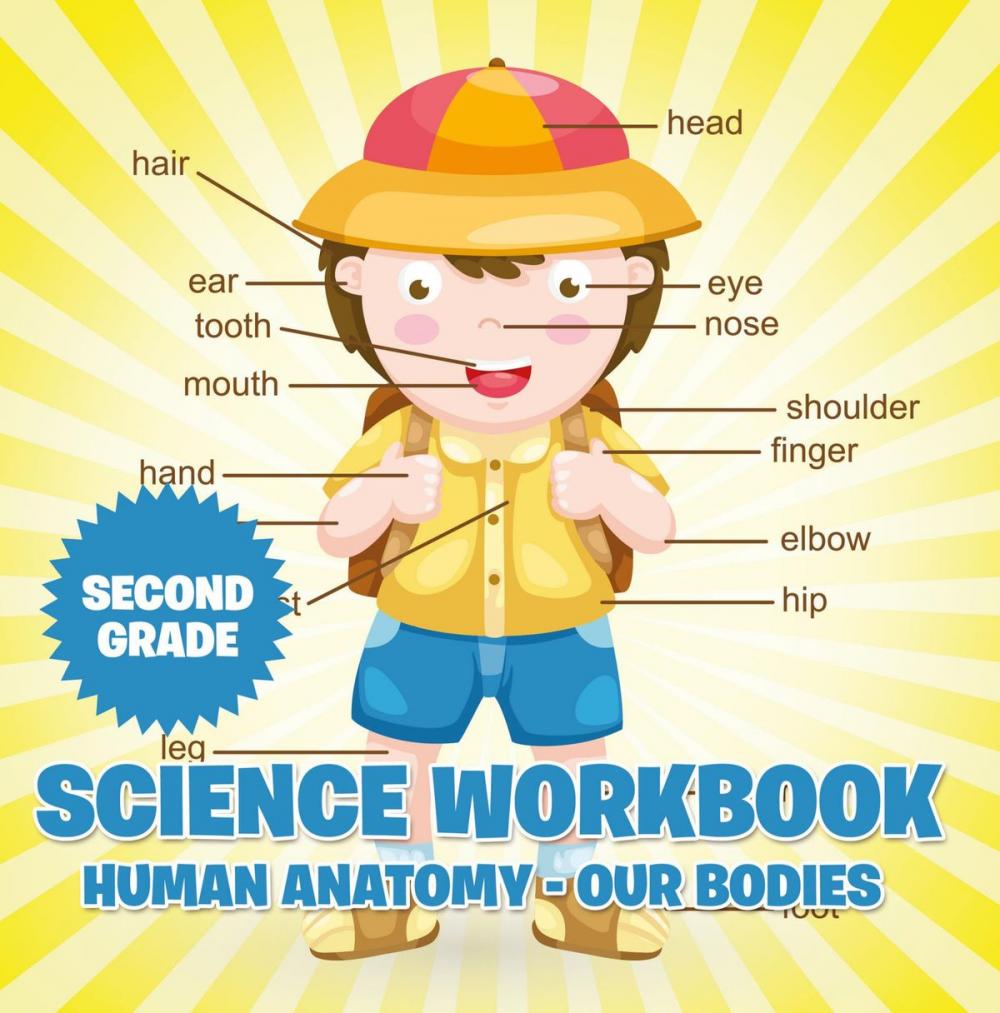 Big bigCover of Second Grade Science Workbook: Human Anatomy - Our Bodies