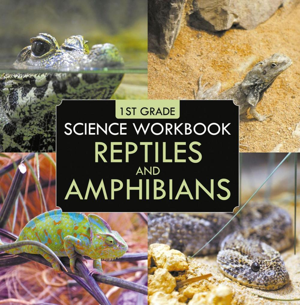 Big bigCover of 1st Grade Science Workbook: Reptiles and Amphibians