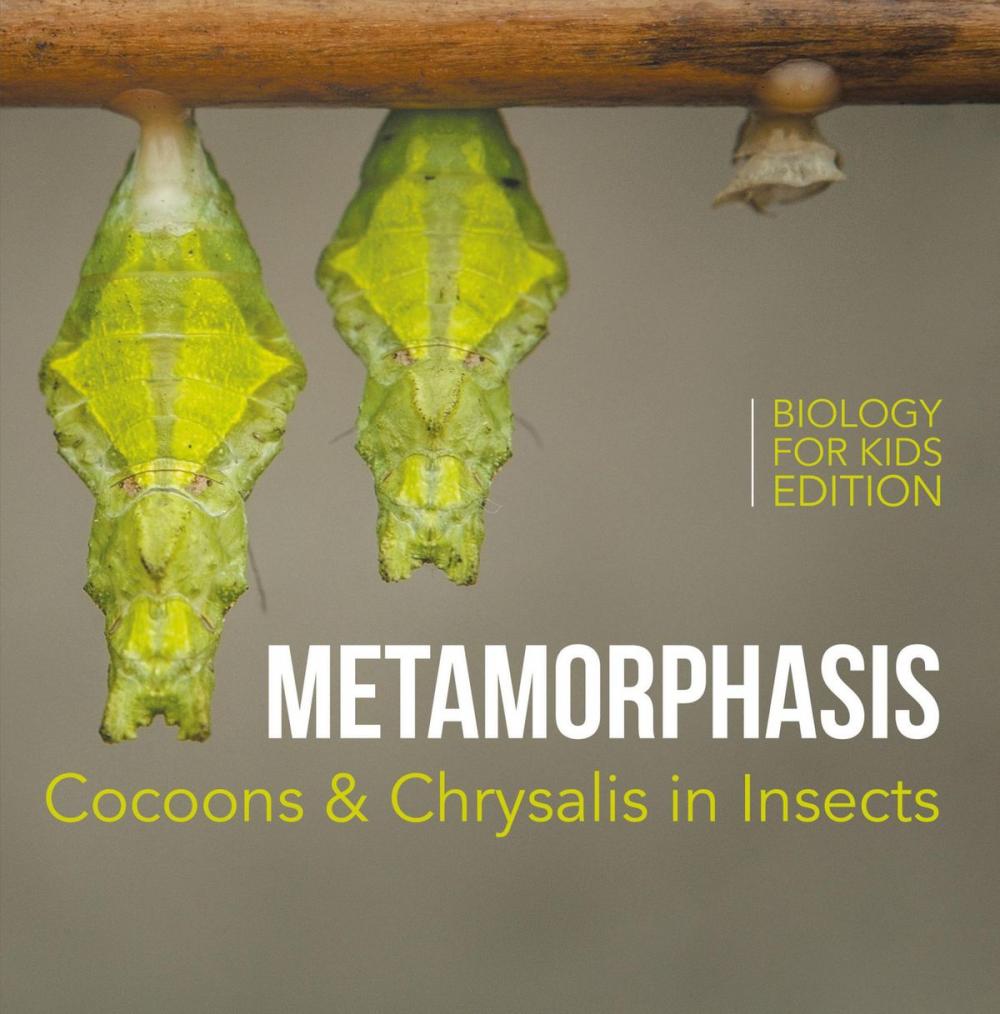 Big bigCover of Metamorphasis: Cocoons & Chrysalis in Insects | Biology for Kids Edition