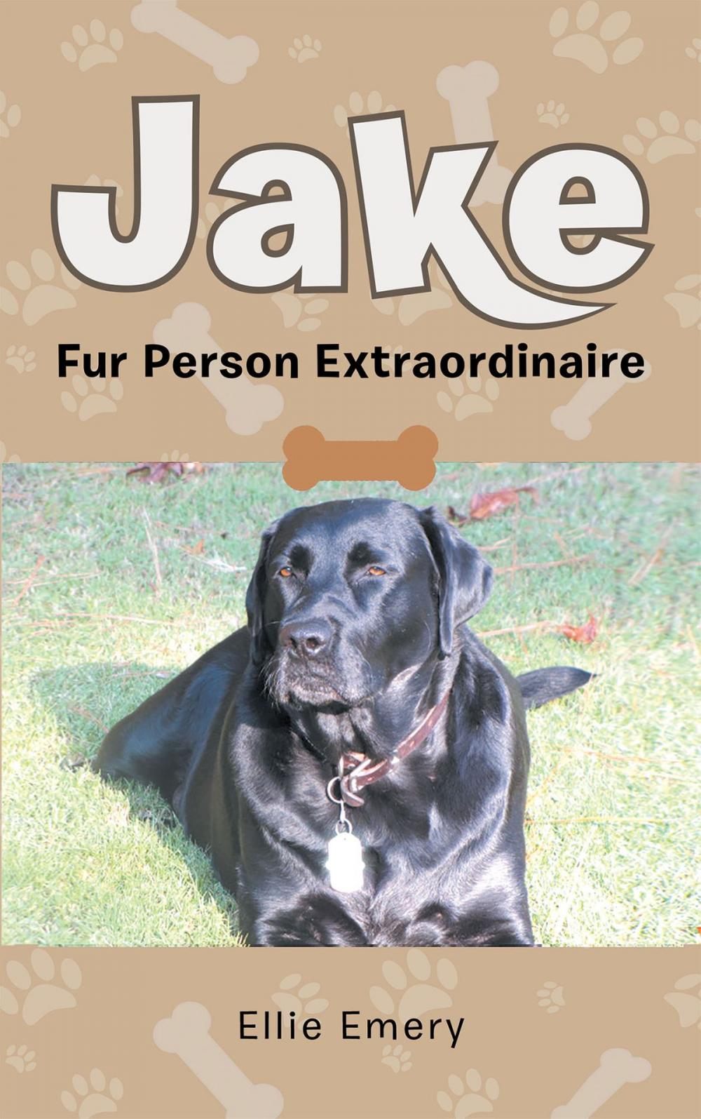 Big bigCover of Jake: Fur Person Extraordinare