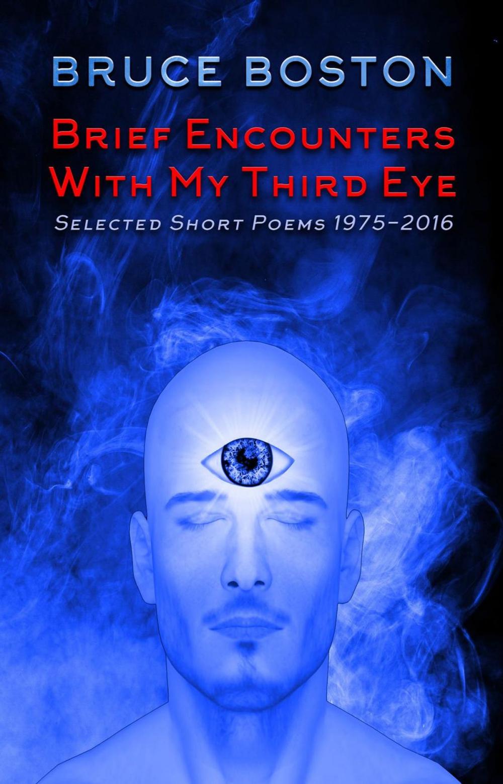 Big bigCover of Brief Encounters with my Third Eye: Selected Poems