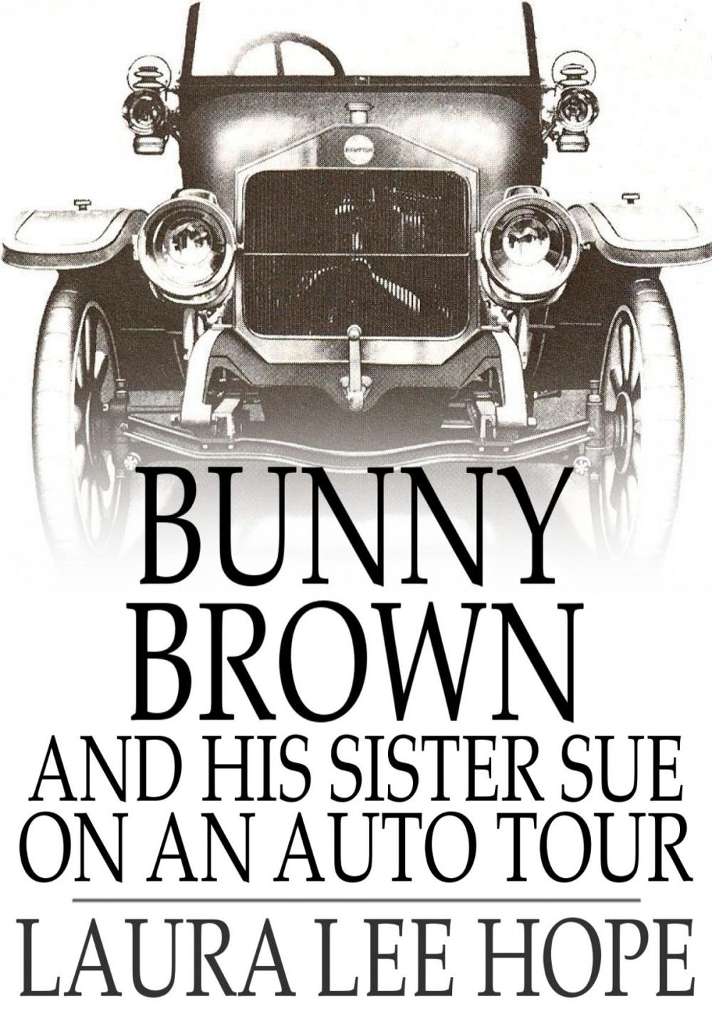 Big bigCover of Bunny Brown and His Sister Sue on an Auto Tour