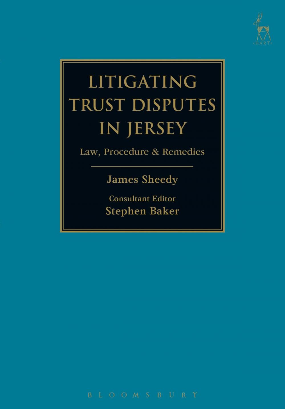 Big bigCover of Litigating Trust Disputes in Jersey