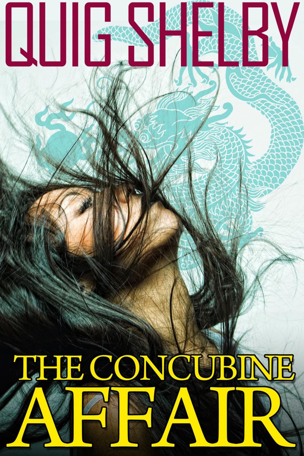 Big bigCover of The Concubine Affair