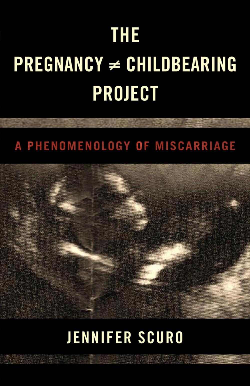 Big bigCover of The Pregnancy [does-not-equal] Childbearing Project