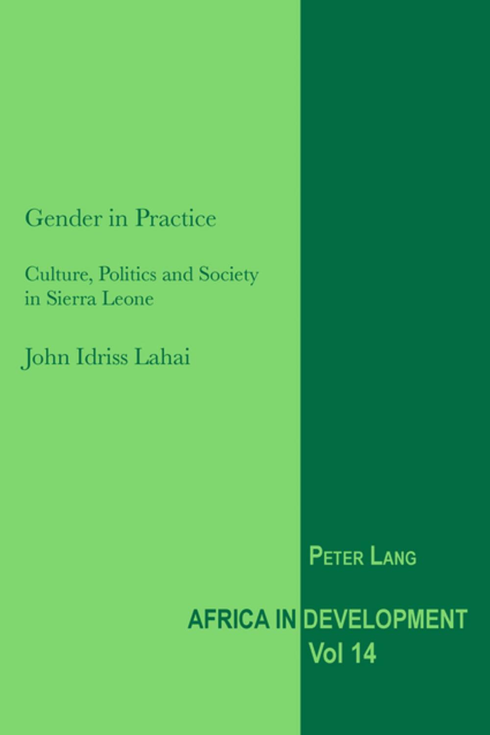 Big bigCover of Gender in Practice