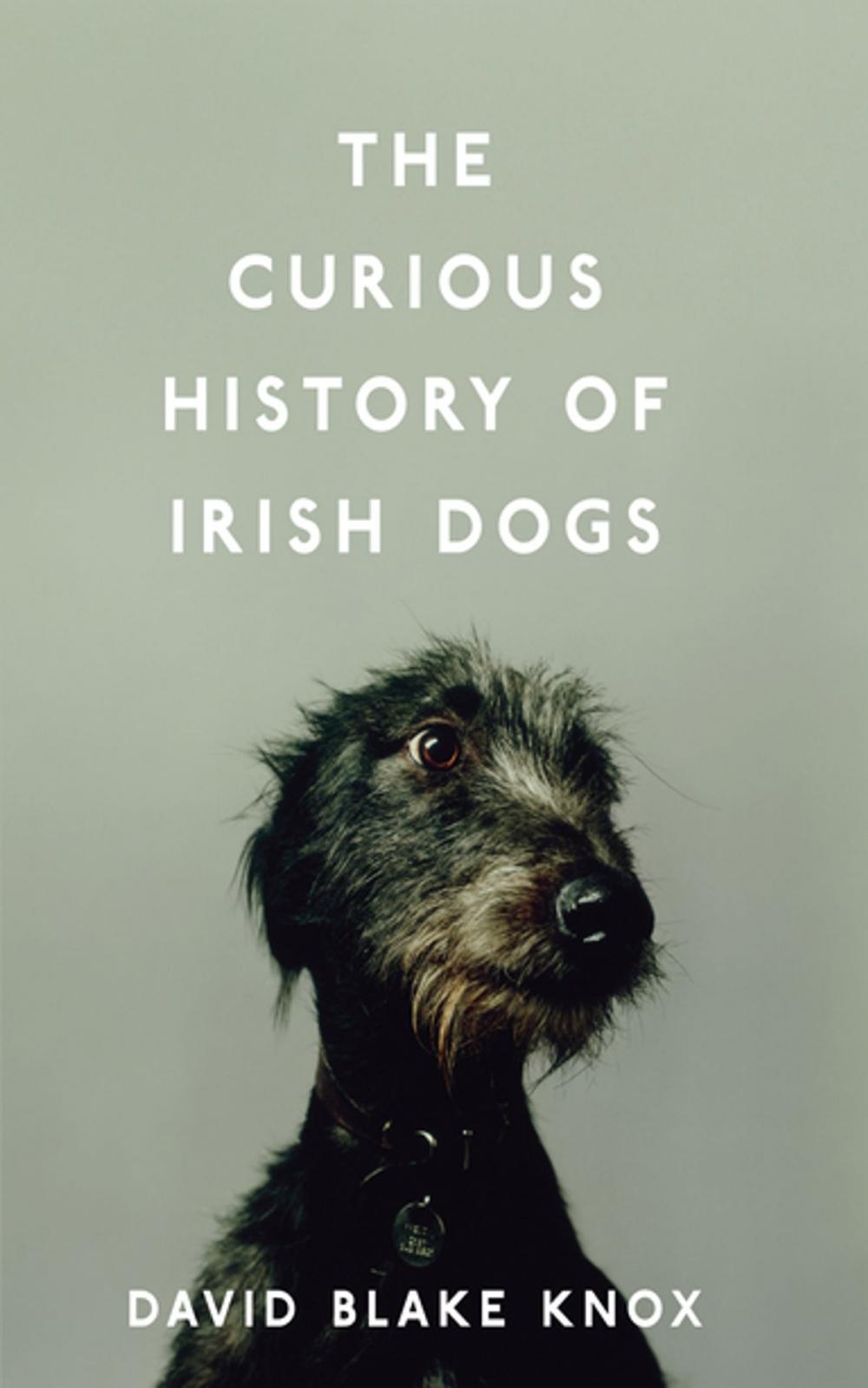 Big bigCover of The Curious History of Irish Dogs