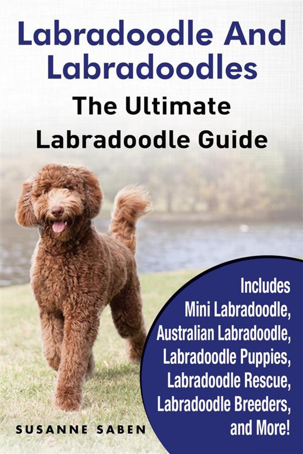 Big bigCover of Labradoodle and Labradoodles