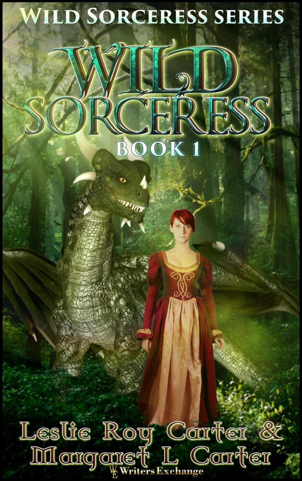 Big bigCover of Wild Sorceress