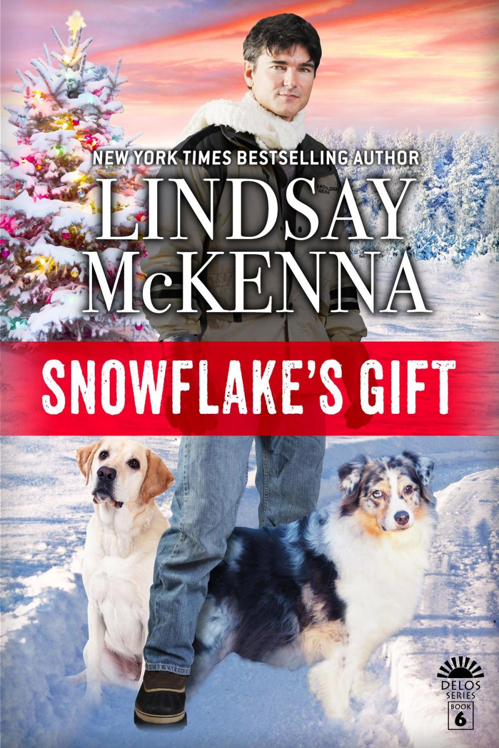 Big bigCover of Snowflake's Gift