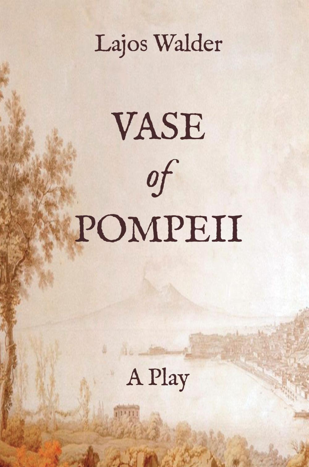 Big bigCover of Vase of Pompeii: A Play