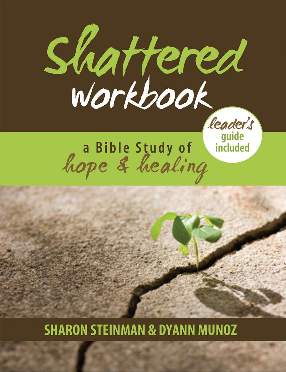 Big bigCover of Shattered Workbook