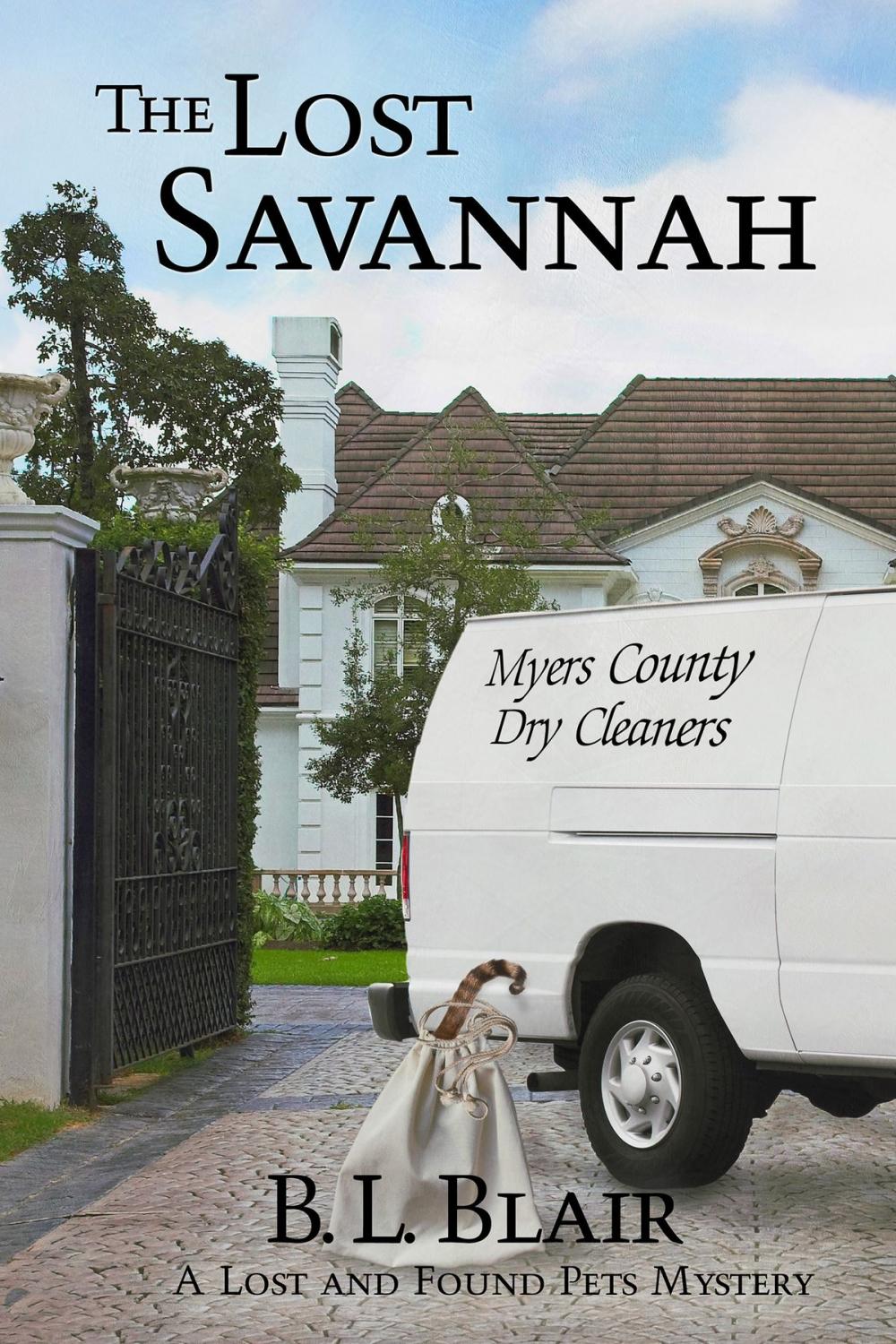 Big bigCover of The Lost Savannah