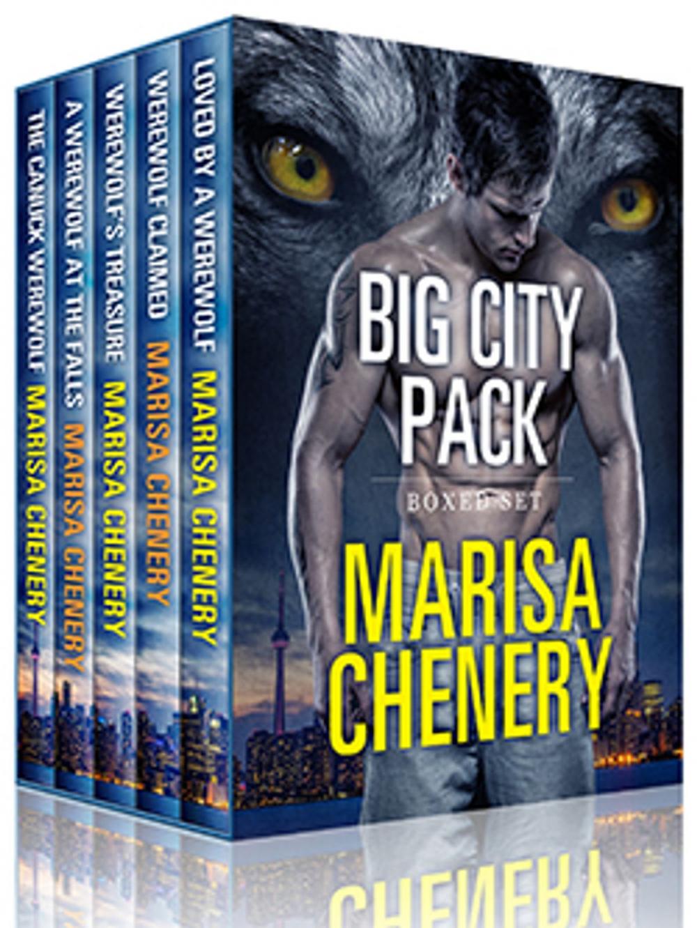 Big bigCover of Big City Pack Boxed Set