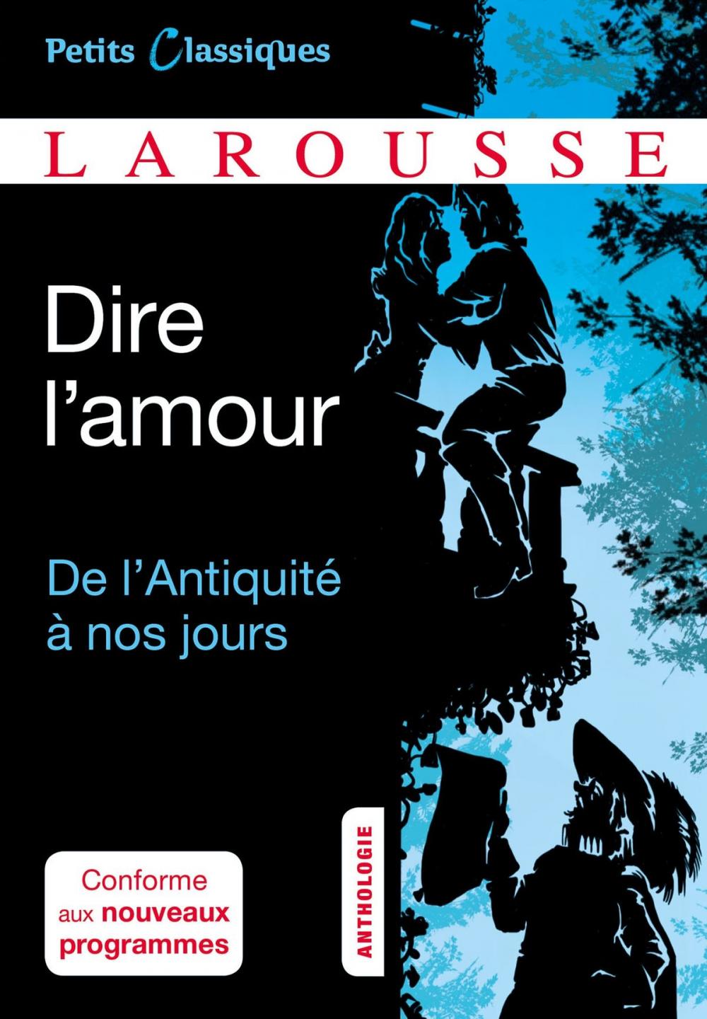 Big bigCover of Dire l'amour De l'Antiquité à nos jours