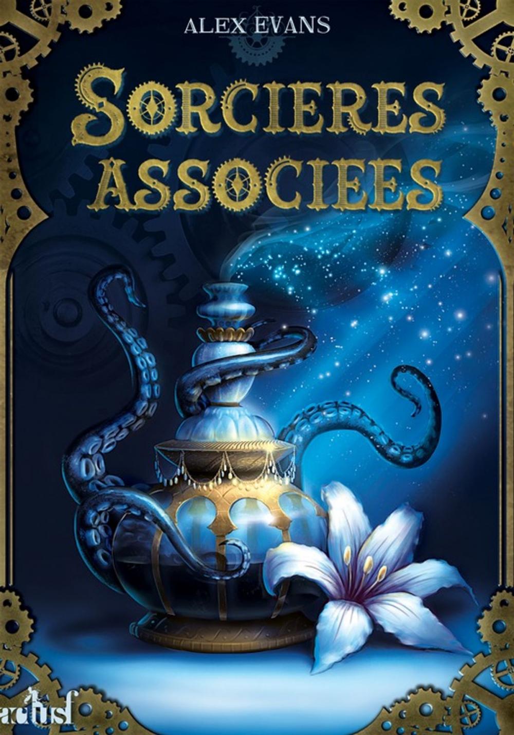 Big bigCover of Sorcières associées