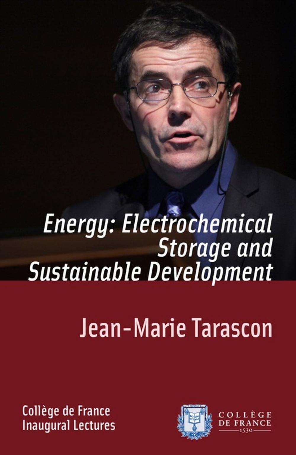 Big bigCover of Energy: Electrochemical Storage and Sustainable Development