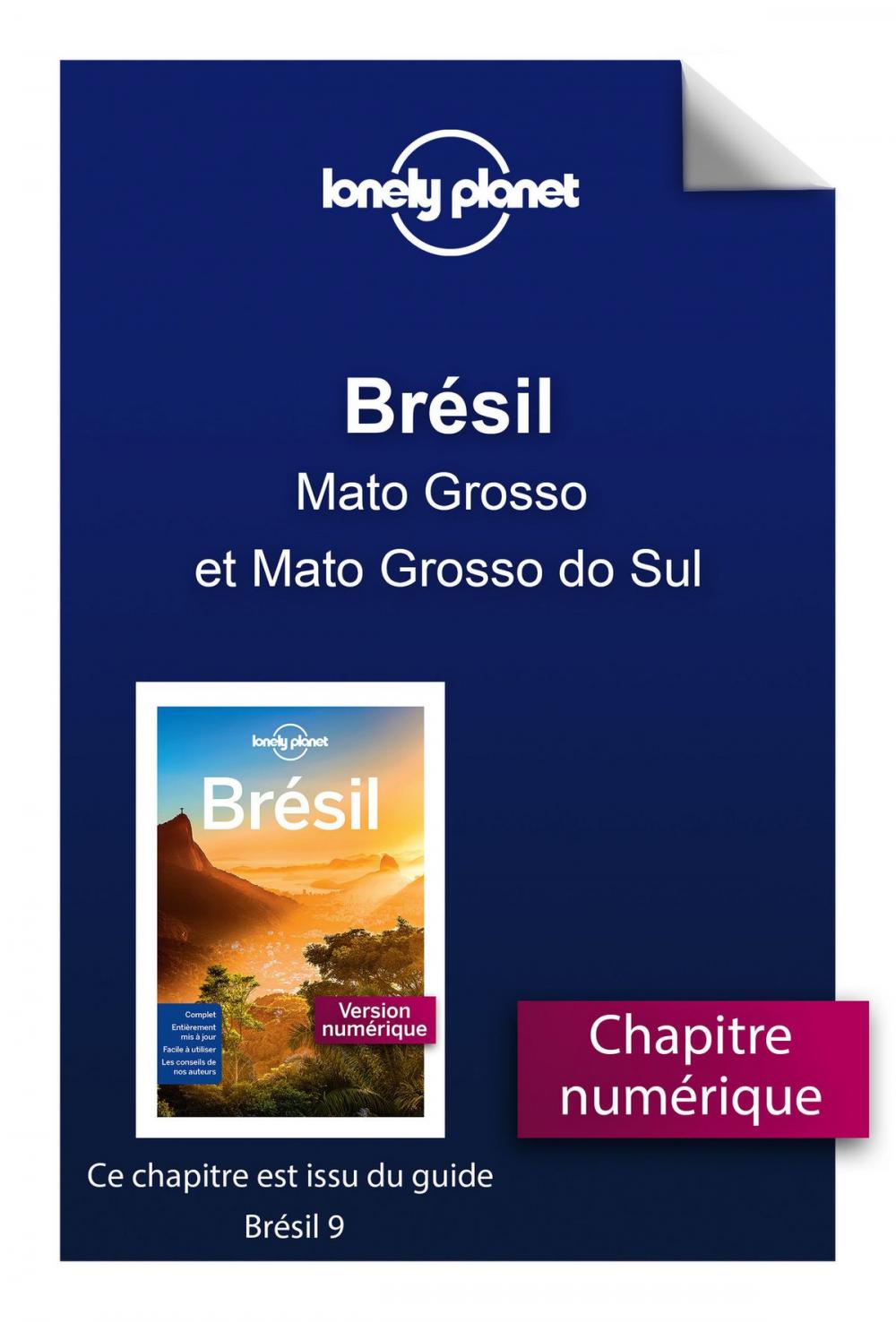 Big bigCover of Brésil 9 - Mato Grosso et Mato Grosso do Sul